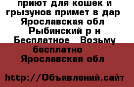 приют для кошек и грызунов примет в дар - Ярославская обл., Рыбинский р-н Бесплатное » Возьму бесплатно   . Ярославская обл.